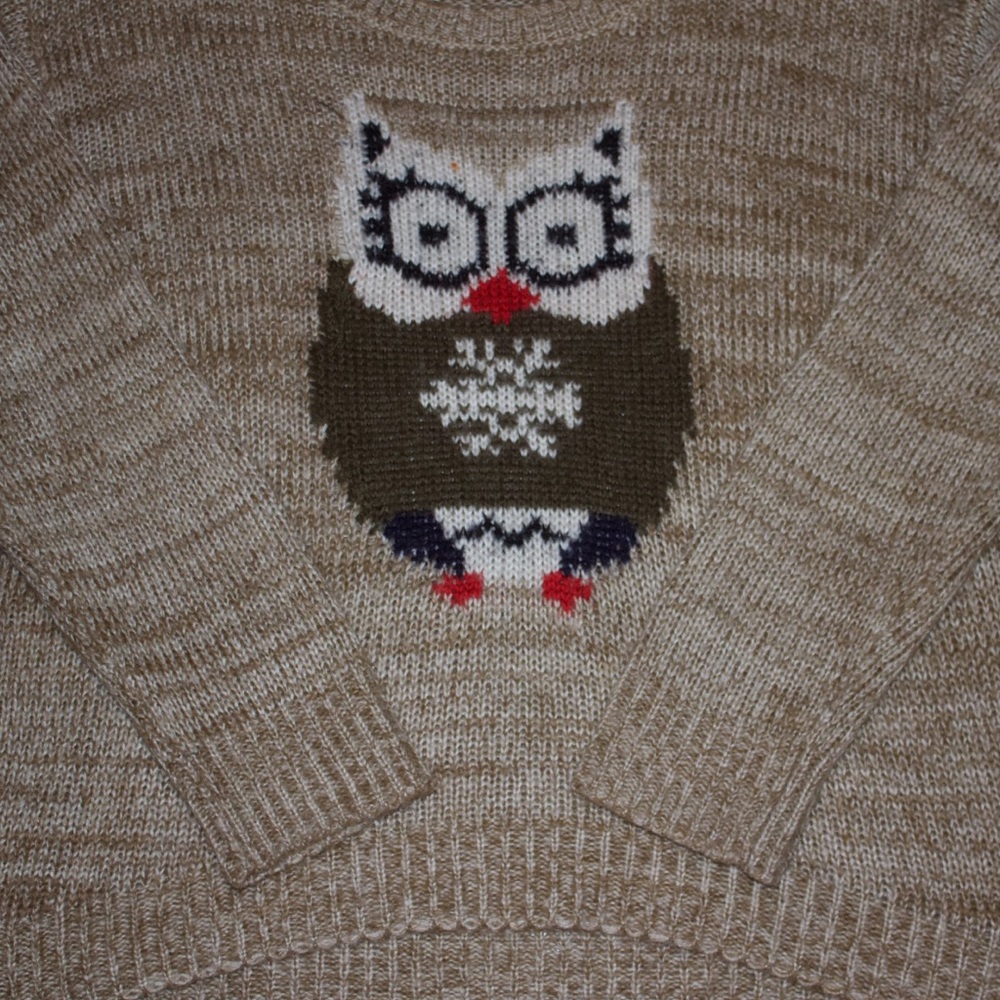 🆑 3/$20🦉Owl Knitted Sweater🦉 - Picture 3 of 7